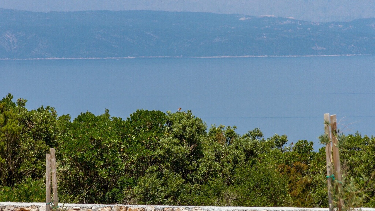 Photo of Others in Zastrazisce