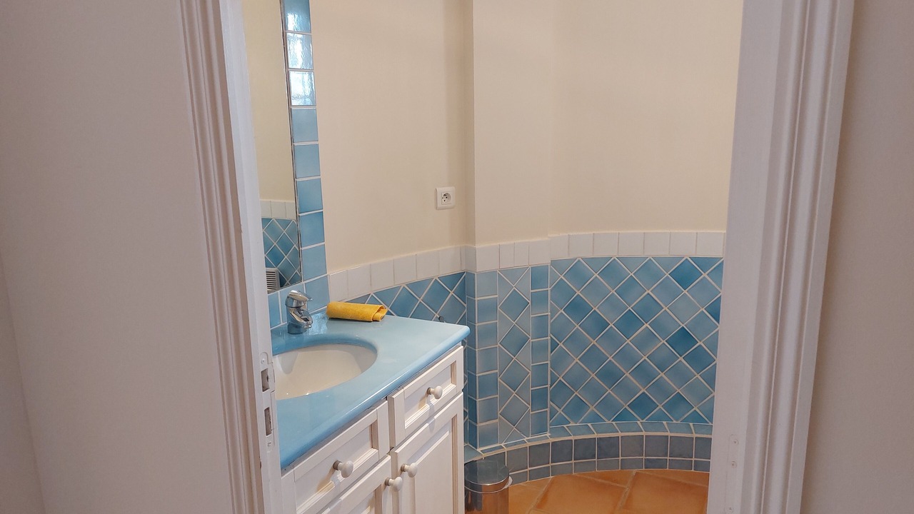 Photo of Bathroom in Plage de la Garonnette