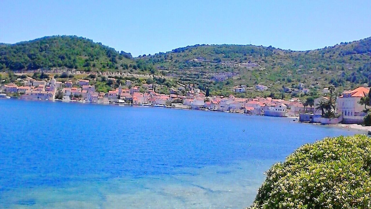 Photo of Others in Vis