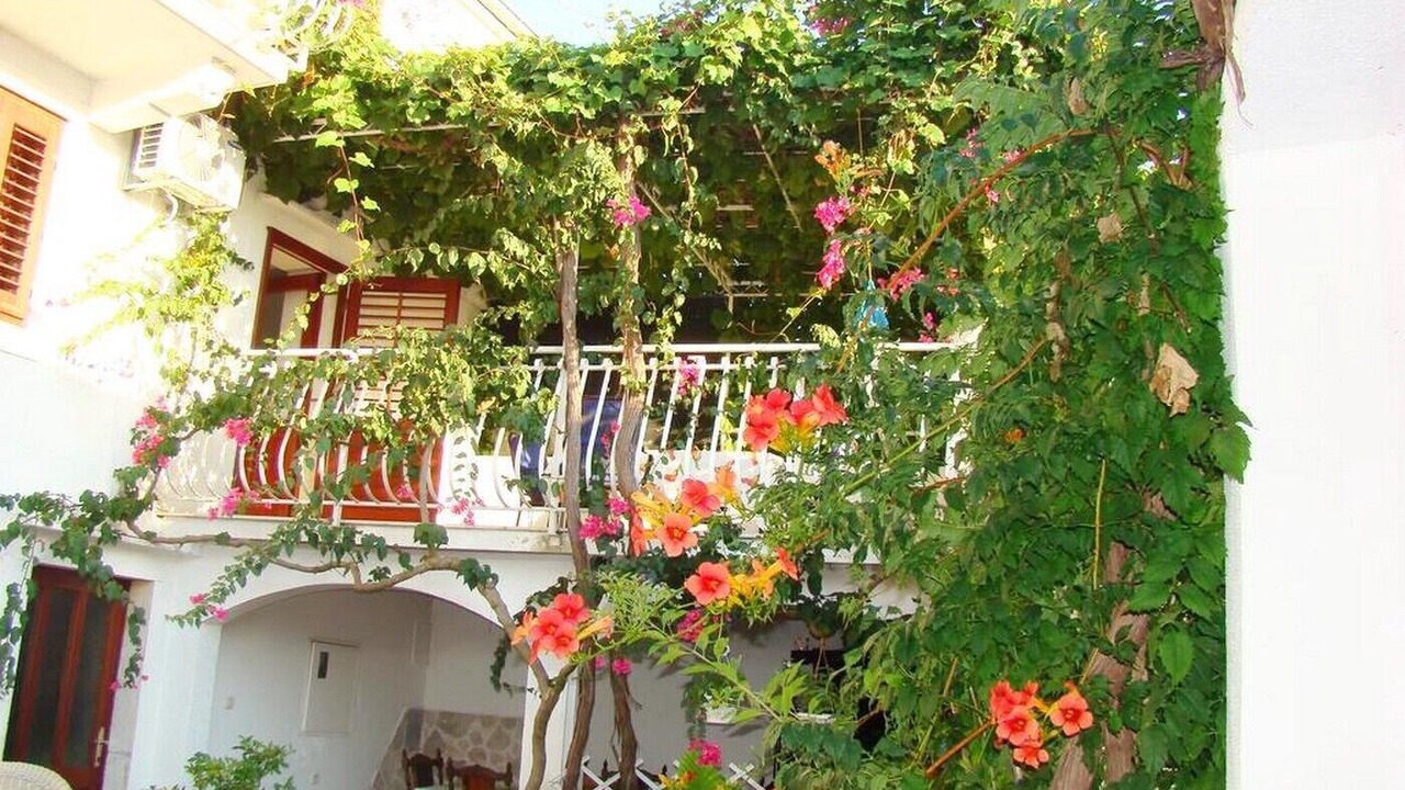 Photo of Outdoor in Vis