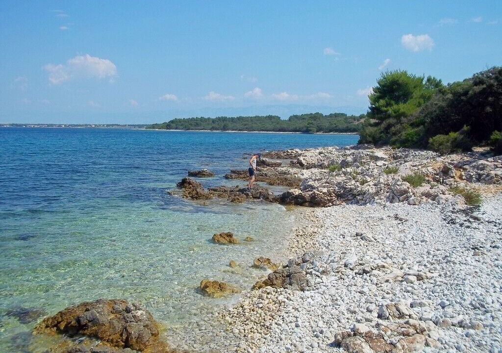 Photo of Others in Petrcane