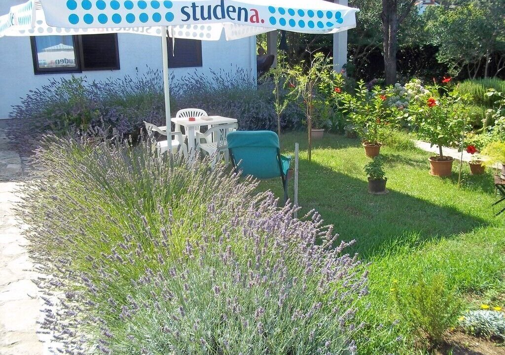 Photo of Outdoor in Petrcane
