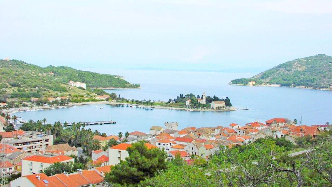 Photo of Others in Vis