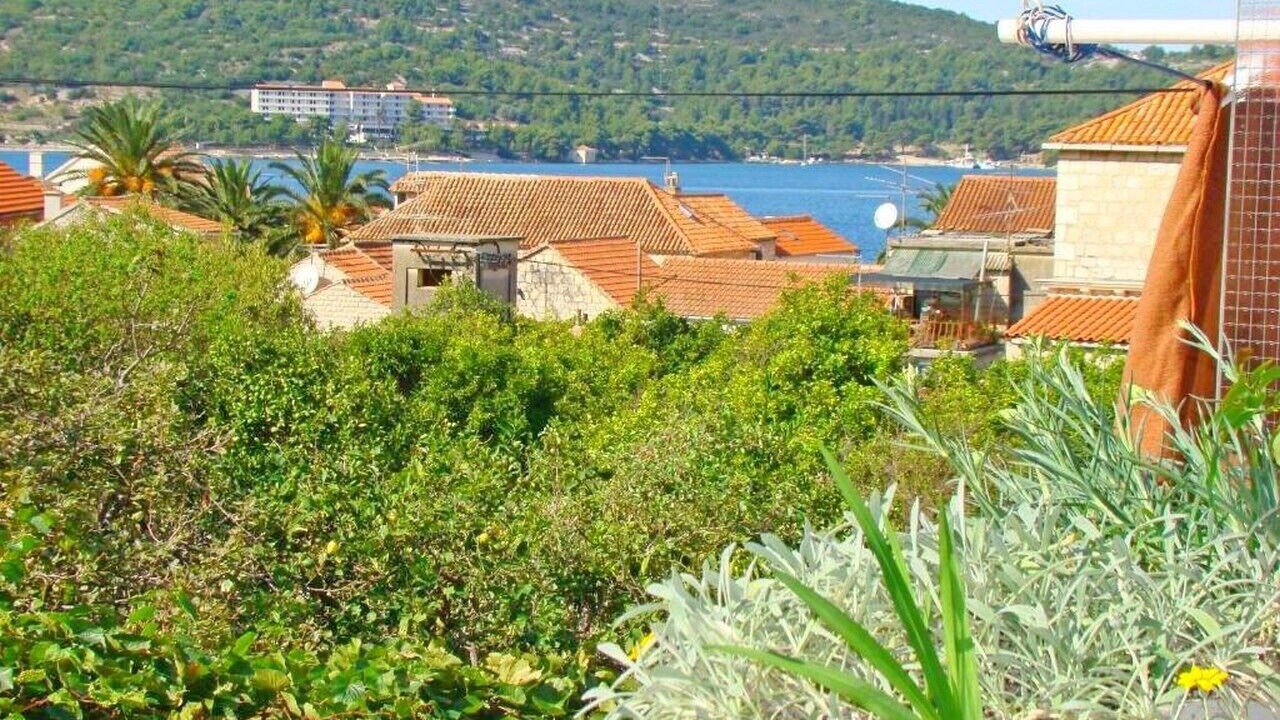 Photo of Others in Vis