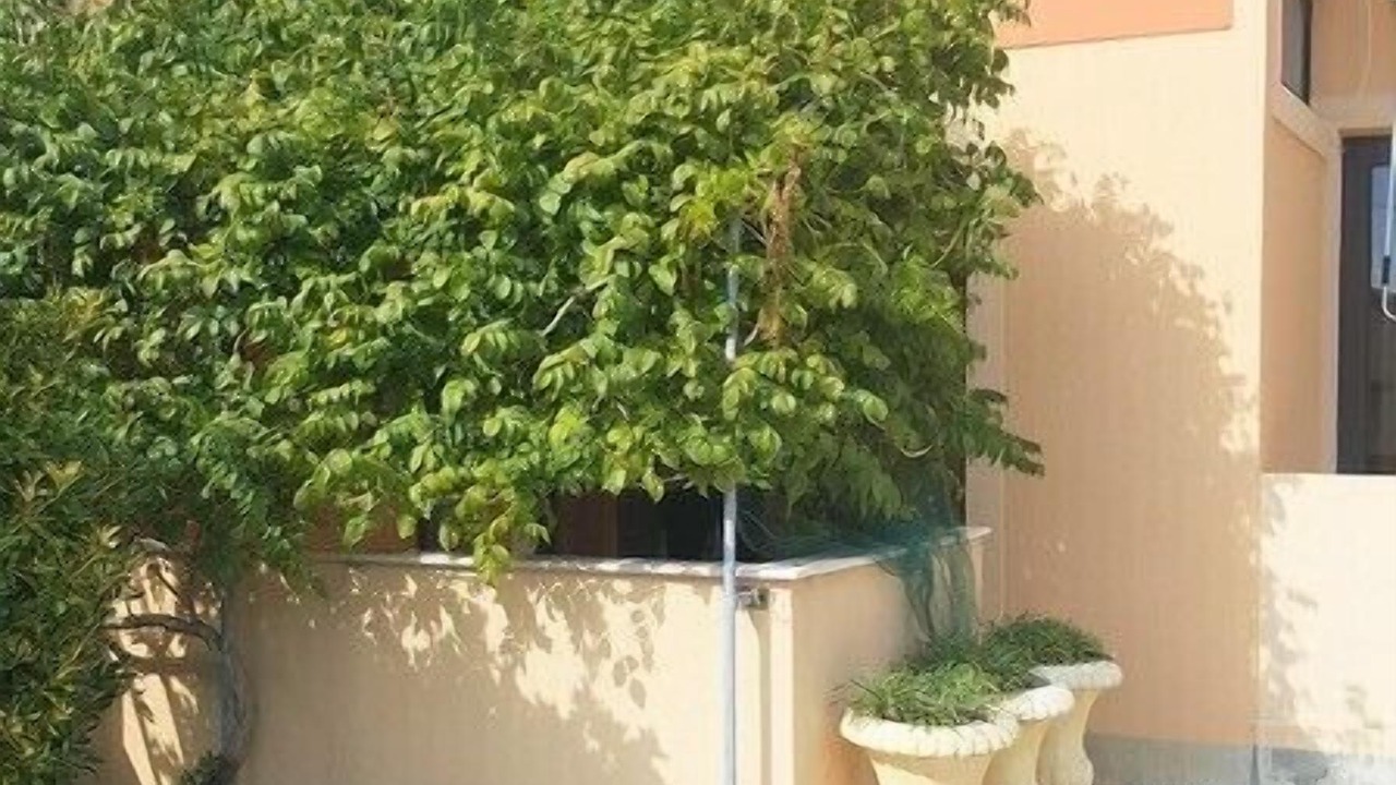 Photo of Outdoor in Lopar