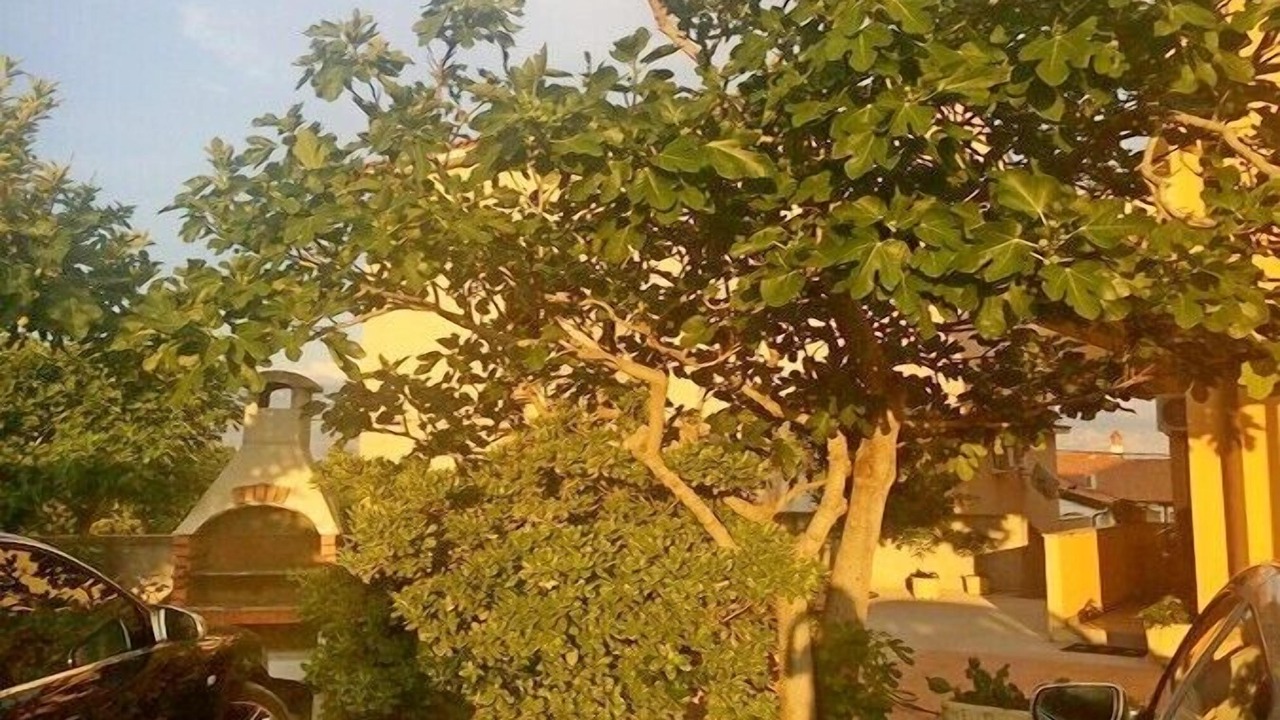 Photo of Outdoor in Lopar