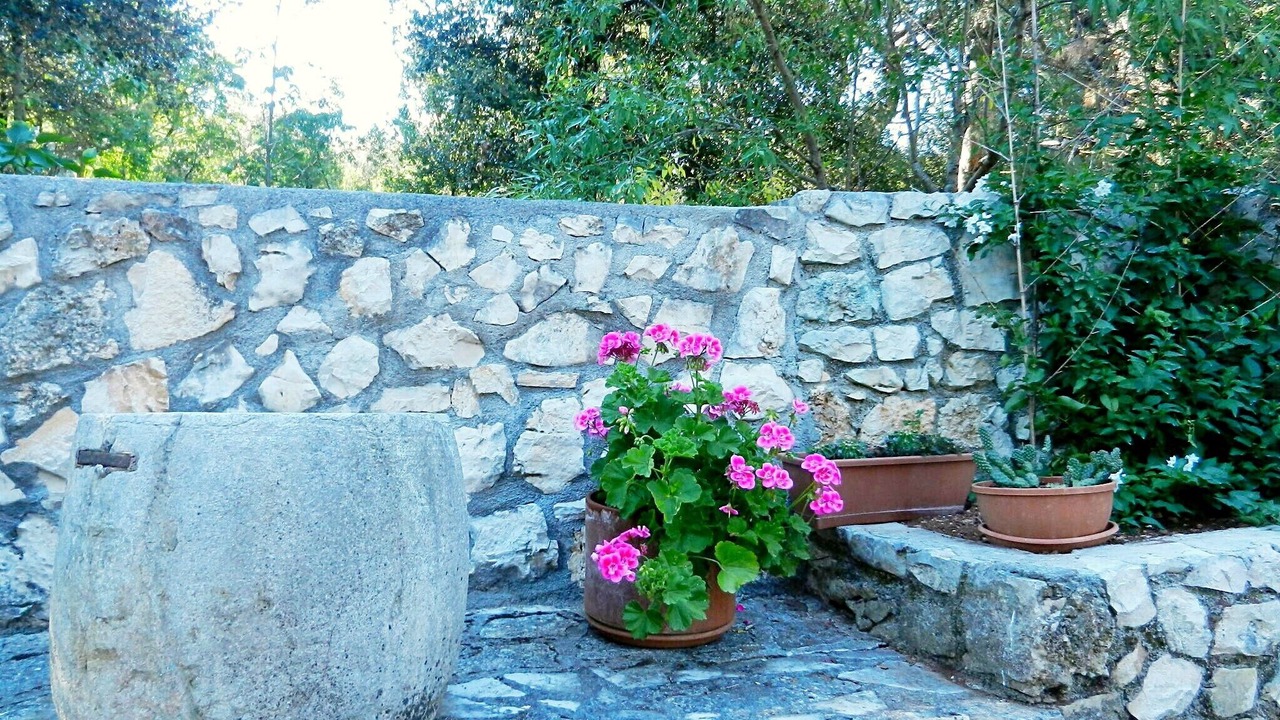 Photo of Outdoor in Borik