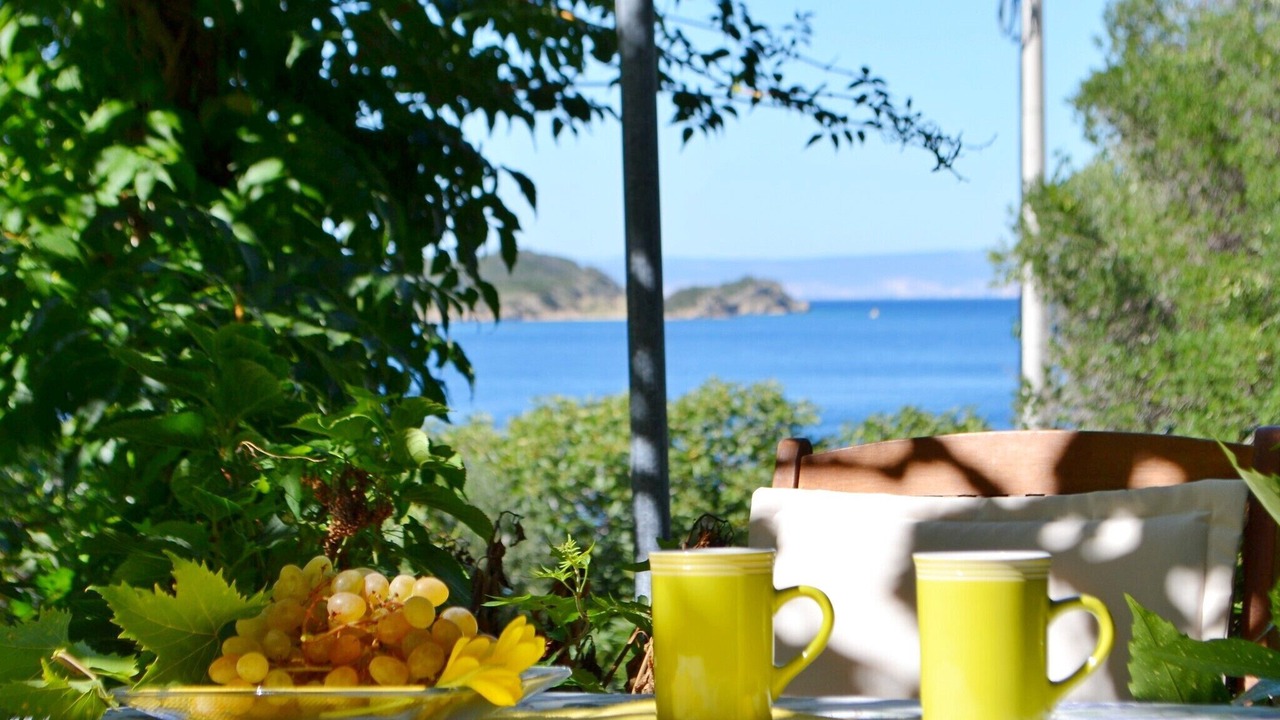Photo of Outdoor in Supetarska Draga