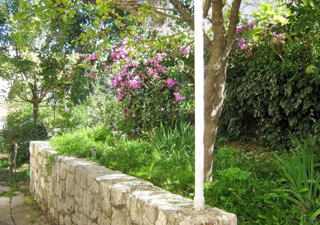 Photo of Outdoor in Lapad