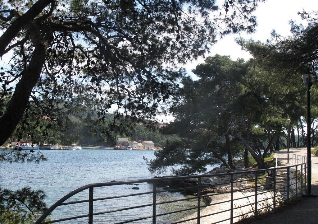 Photo of Others in Stari Grad
