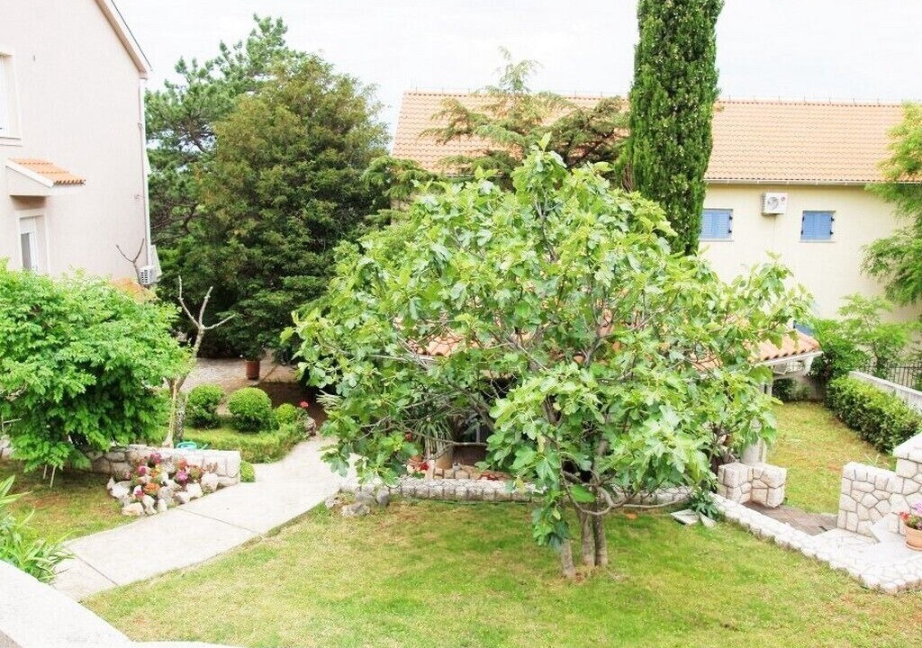 Photo of Outdoor in Selce