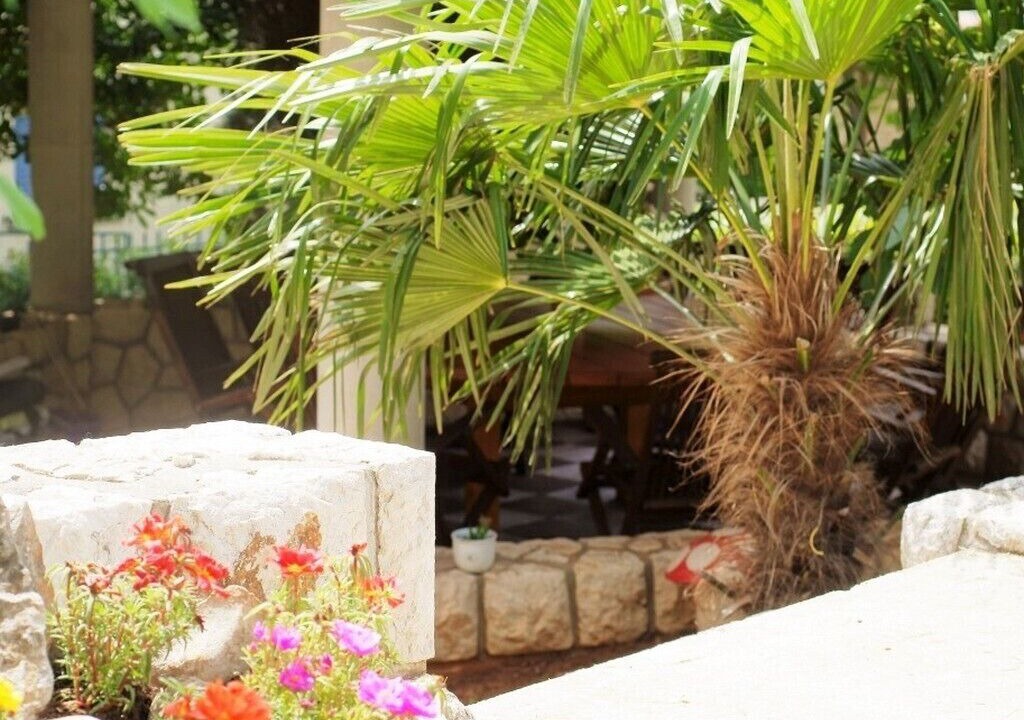 Photo of Outdoor in Selce