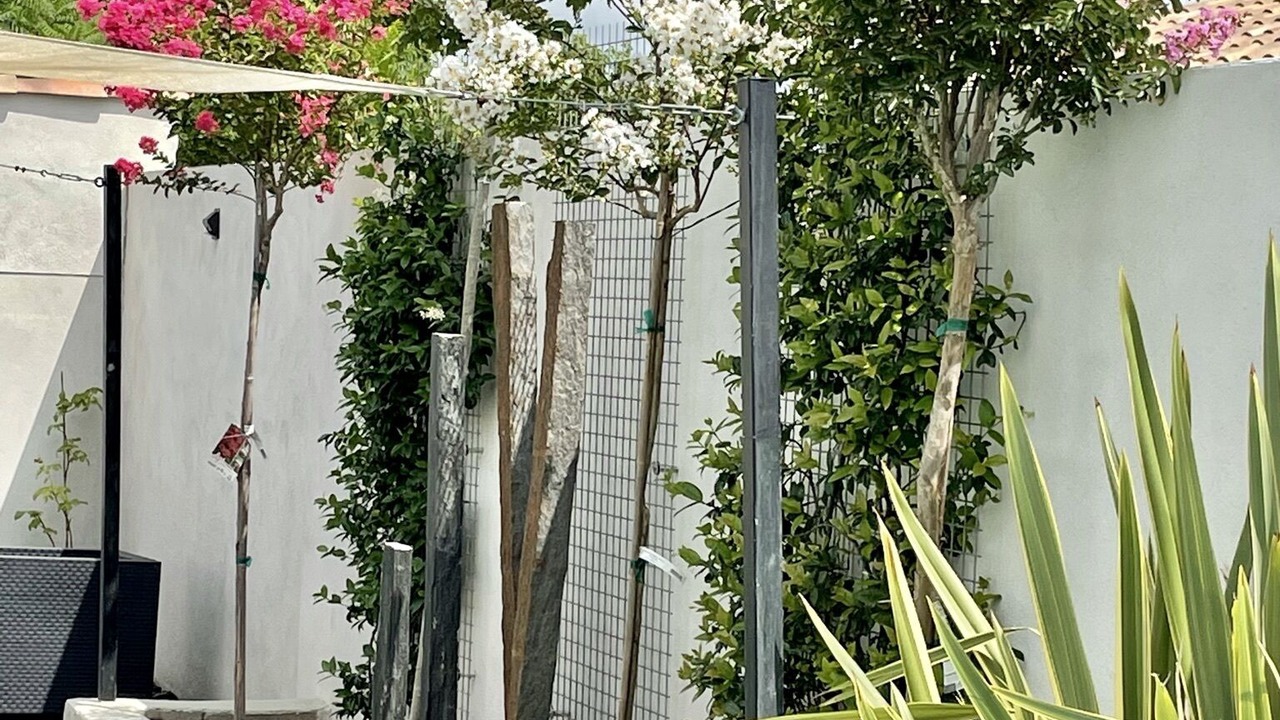 Photo of Outdoor in Claret