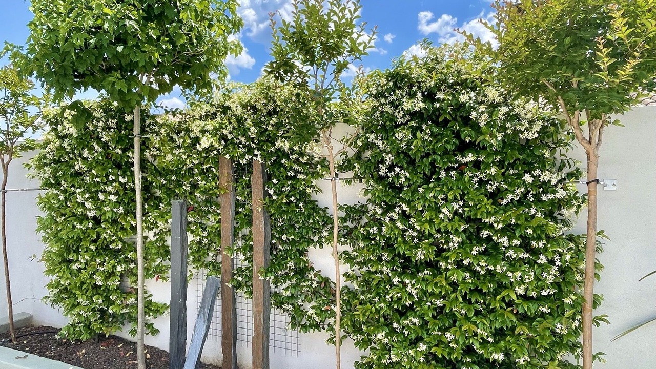 Photo of Outdoor in Claret