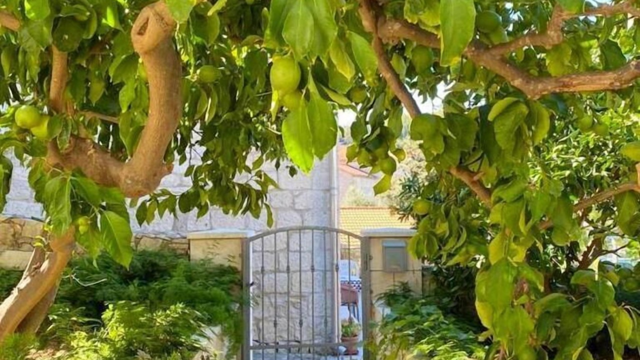 Photo of Outdoor in Lumbarda
