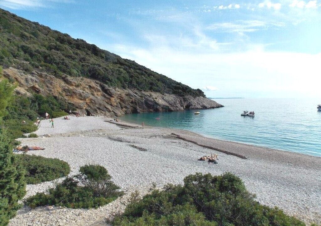 Photo of Others in Cove Murtar
