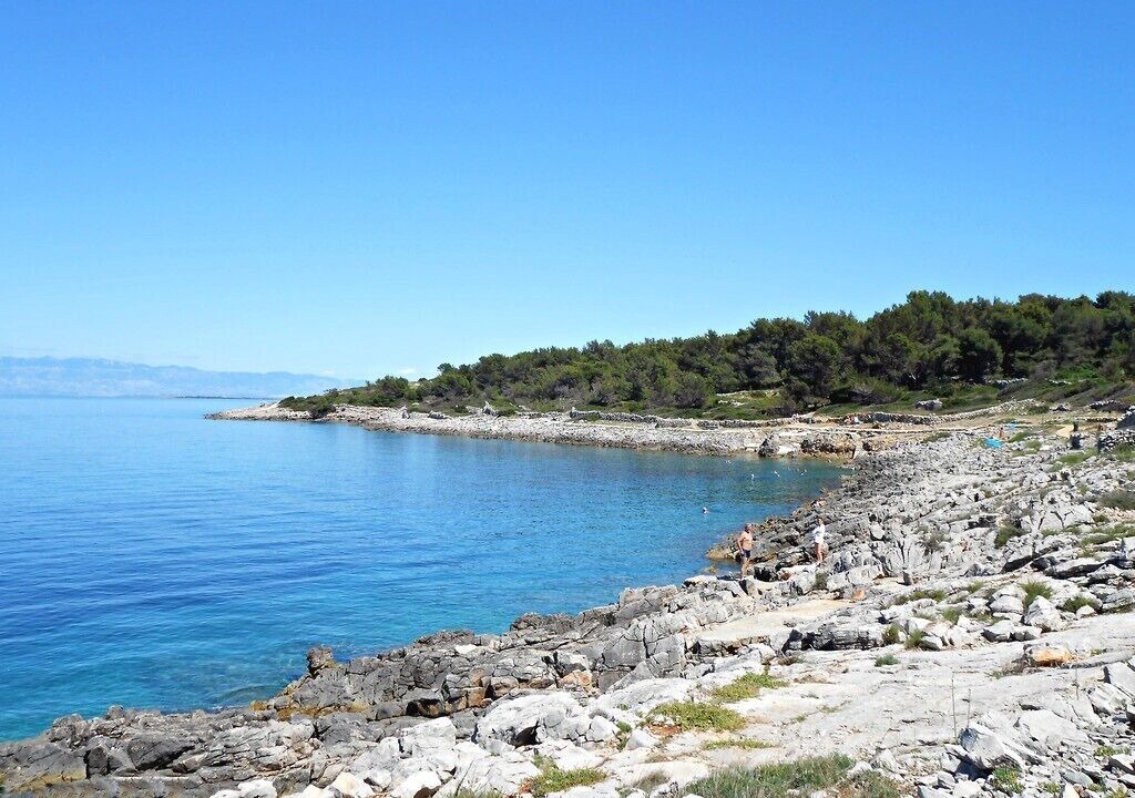 Photo of Others in Cove Murtar