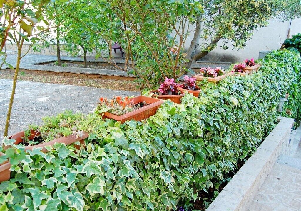 Photo of Outdoor in Primosten
