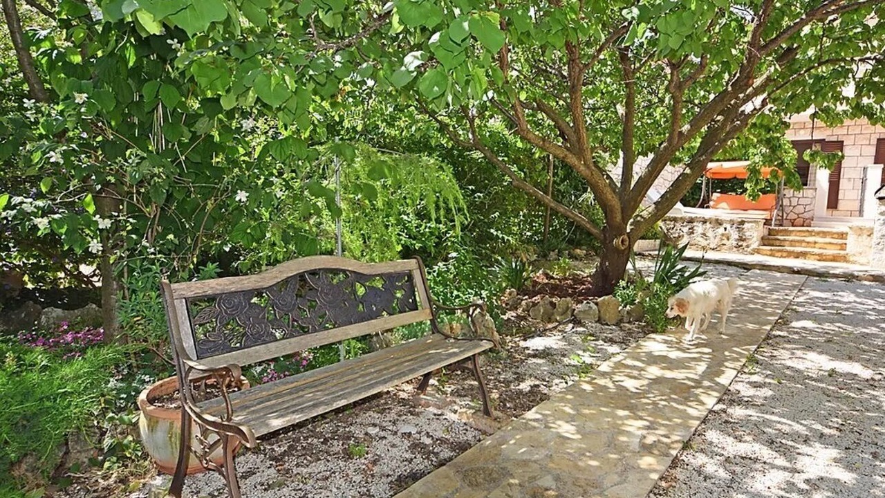 Photo of Outdoor in Supetar