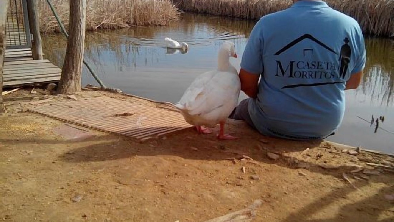 Photo of Others in Deltebre