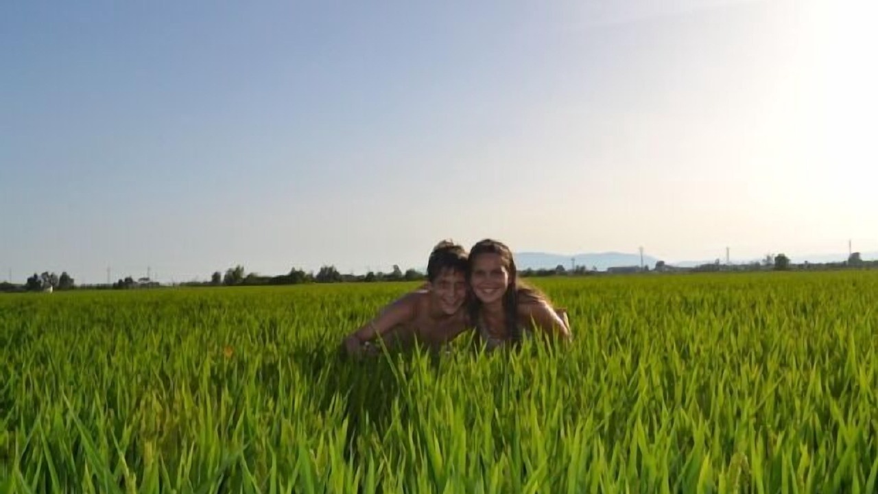 Photo of Outdoor in Deltebre