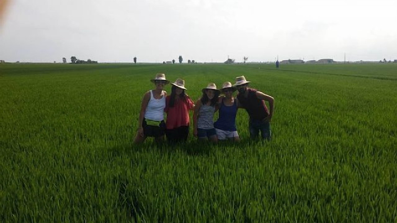 Photo of Others in Deltebre