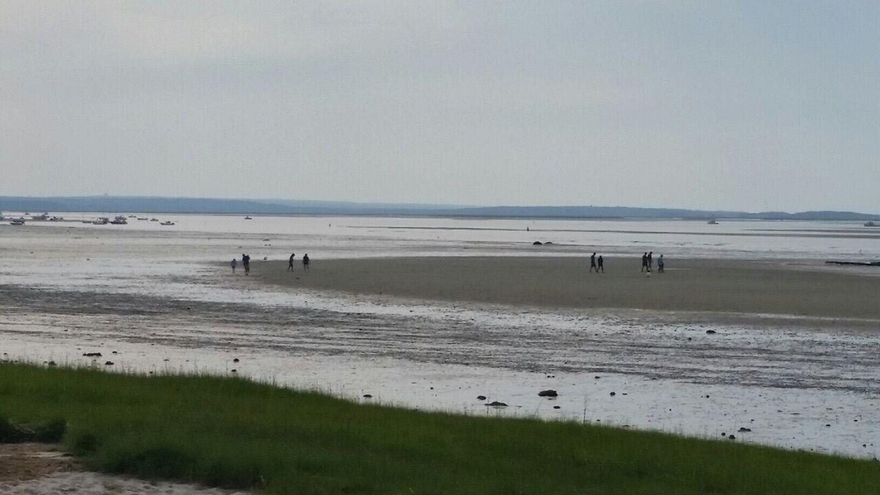 Photo of Others in Barnstable