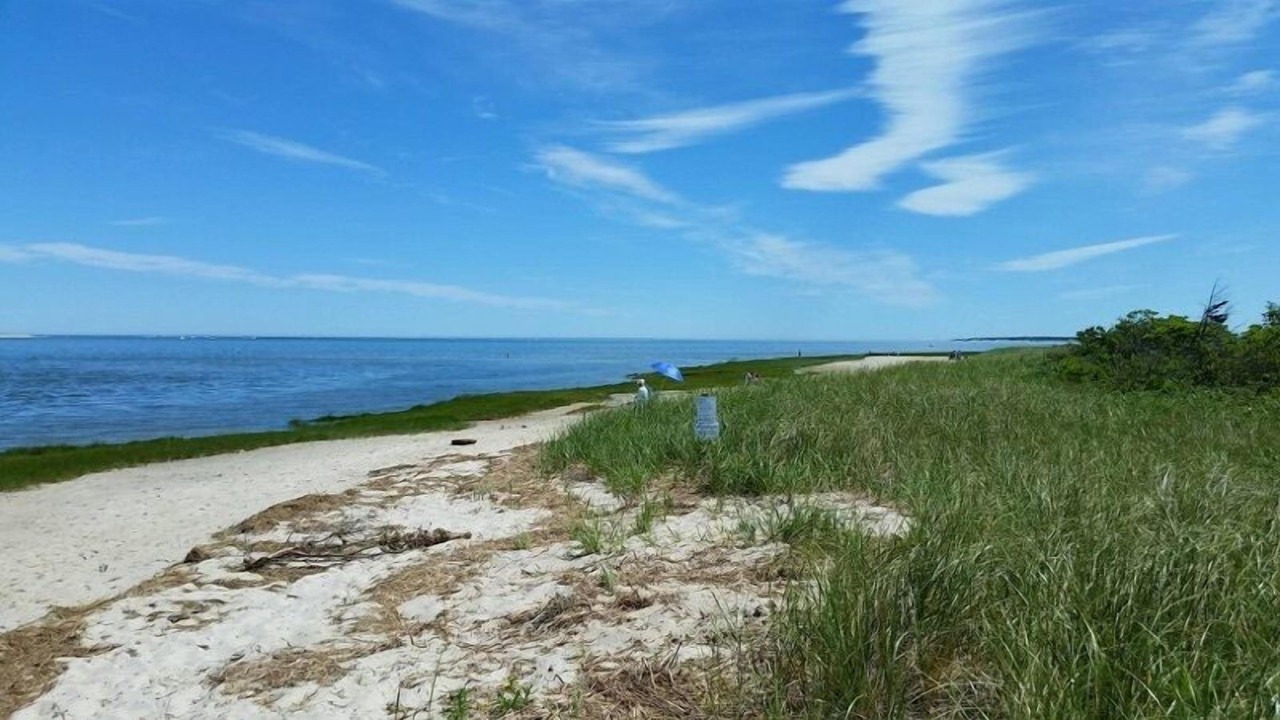 Photo of Others in Barnstable