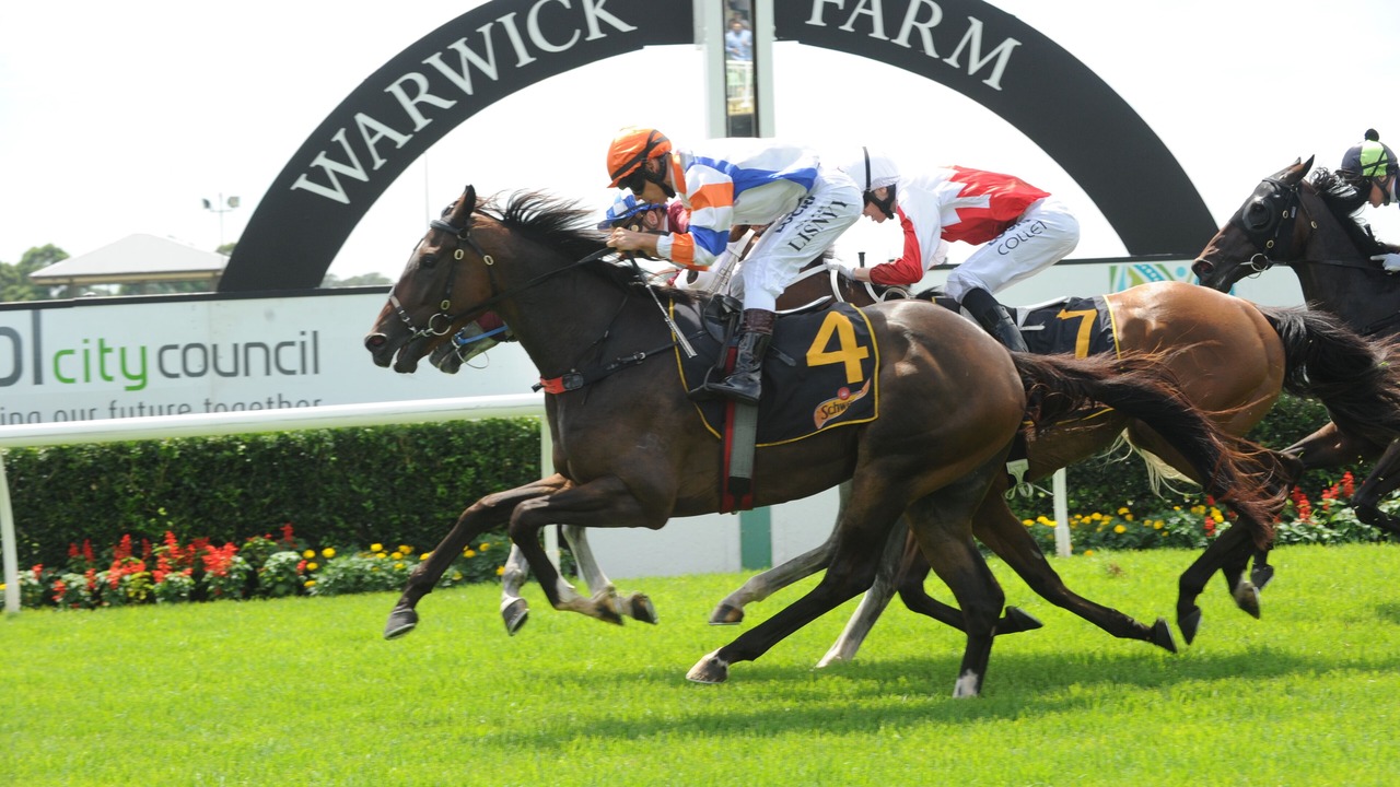 Photo of Others in Fairfield Heights