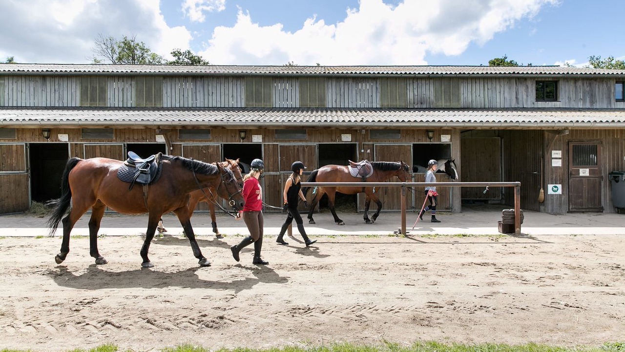 Photo of Others in Epiniac