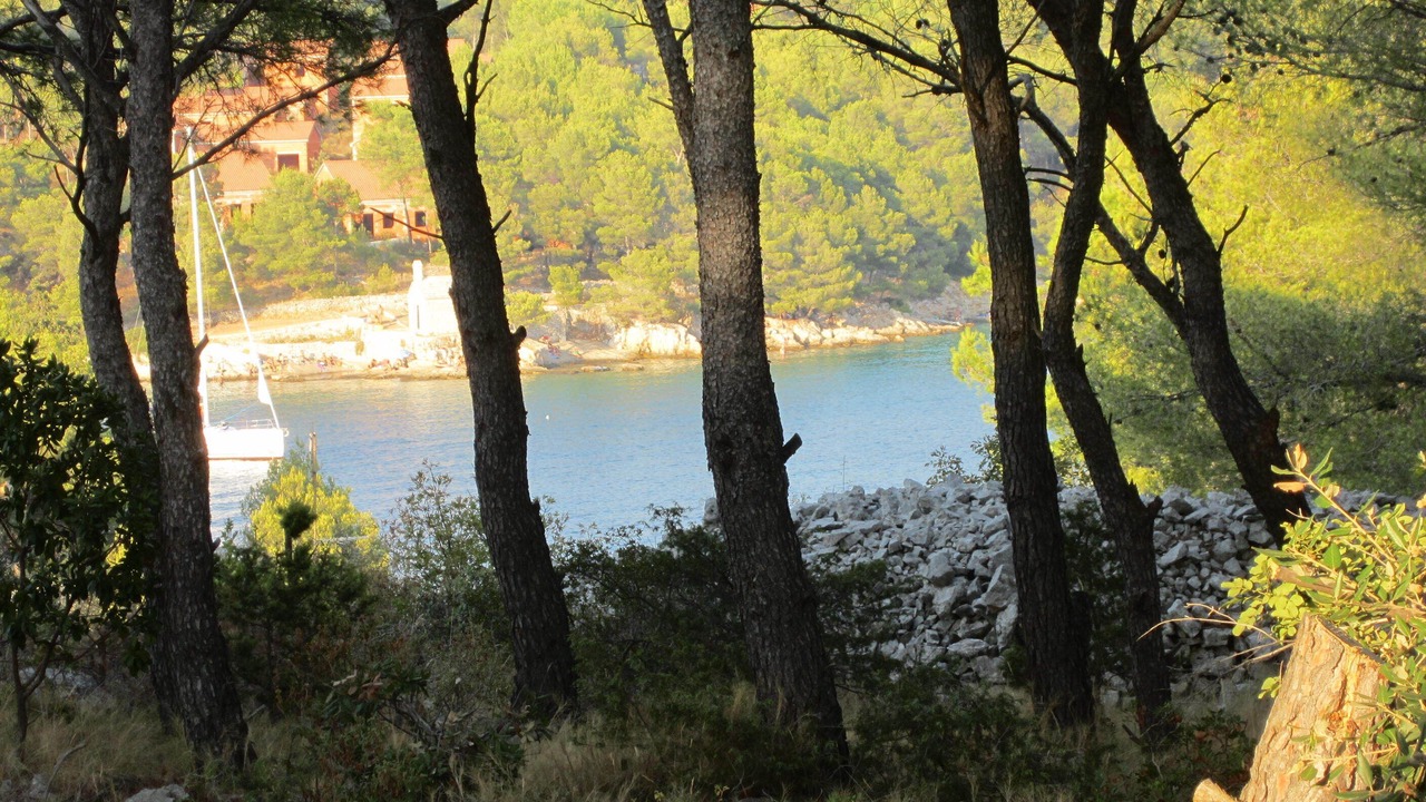 Photo of Outdoor in Cove Osibova (Milna)