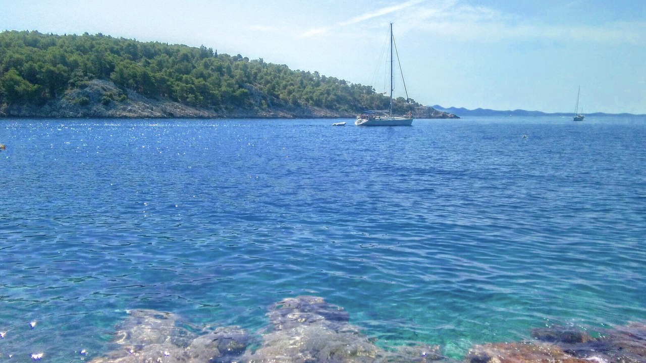 Photo of Others in Cove Osibova (Milna)