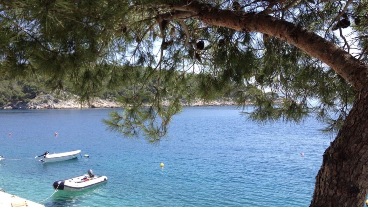 Photo of Others in Cove Osibova (Milna)