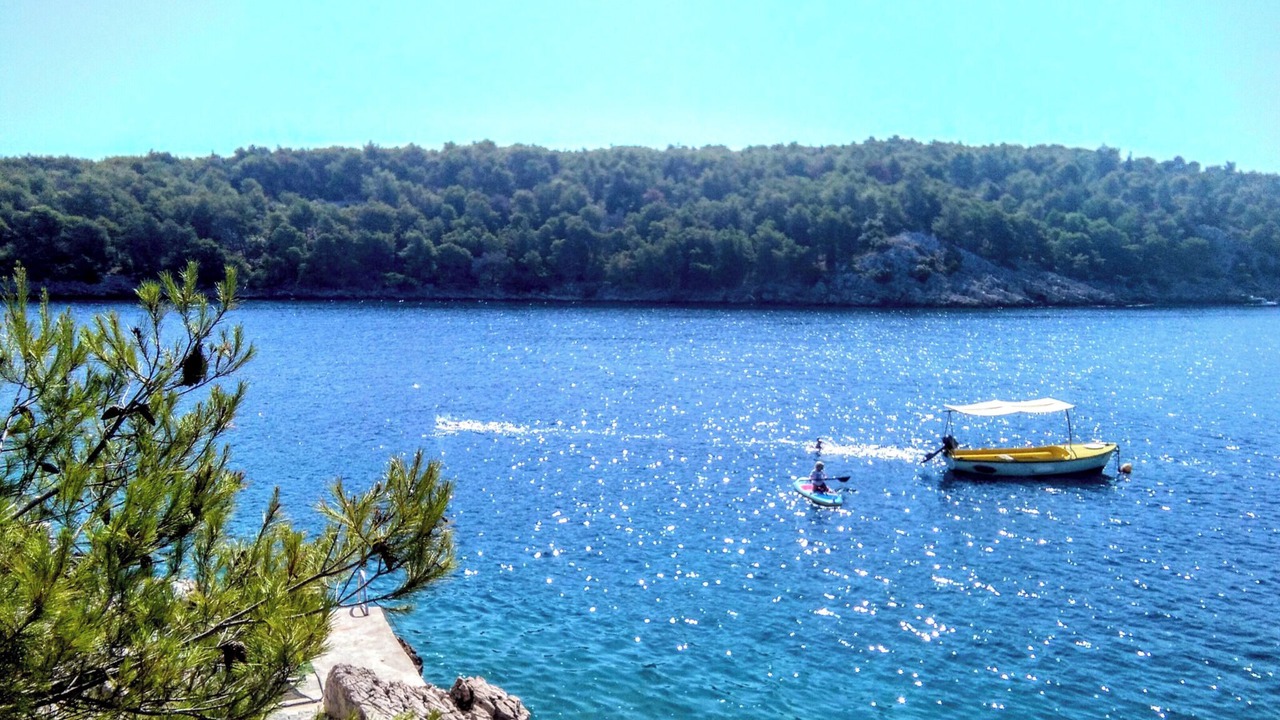 Photo of Others in Cove Osibova (Milna)