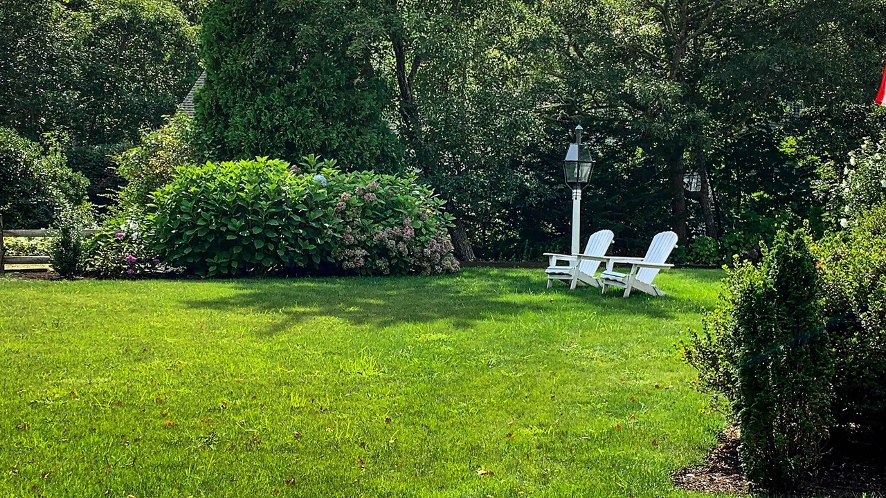 Photo of Outdoor in East Orleans