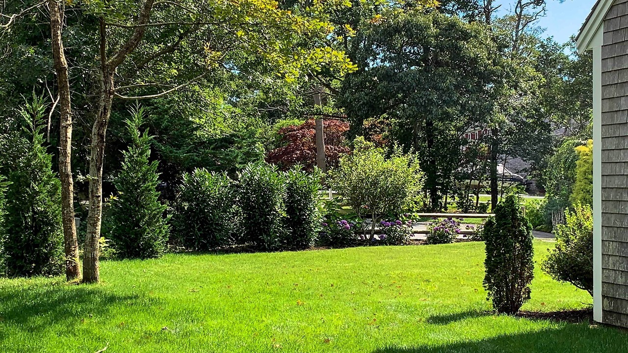 Photo of Outdoor in East Orleans