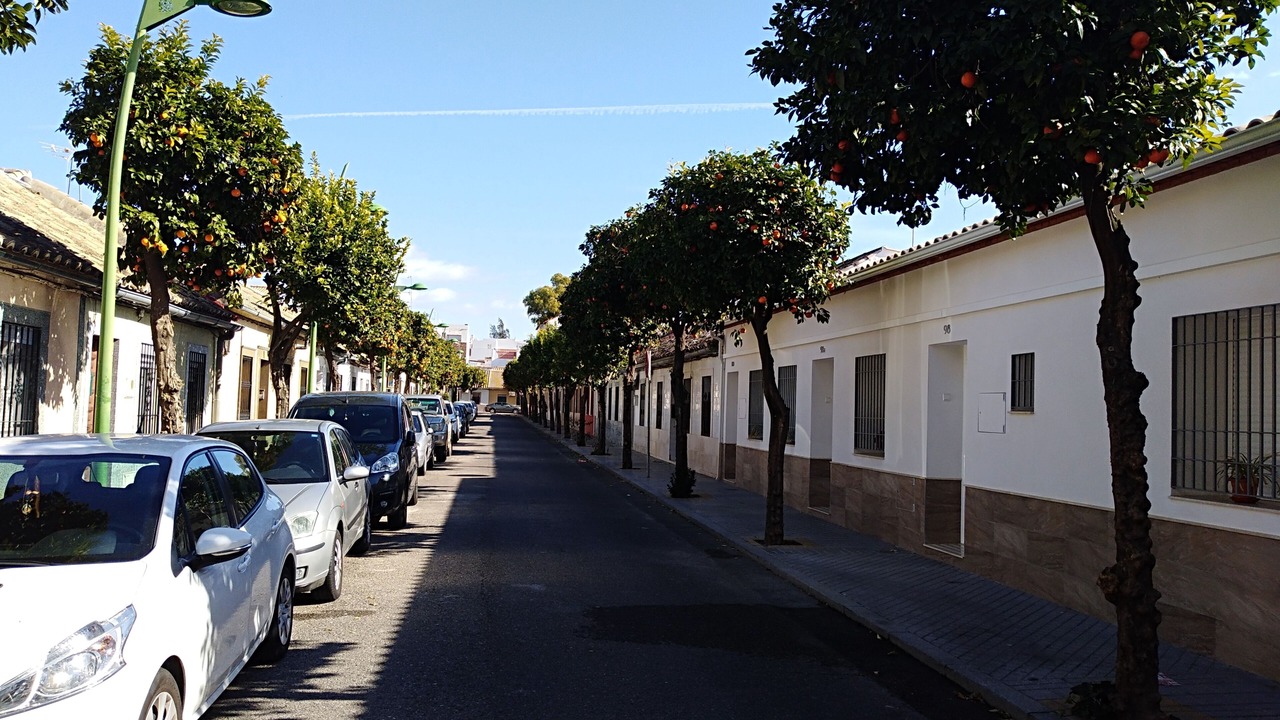 Photo of Others in Cordoba