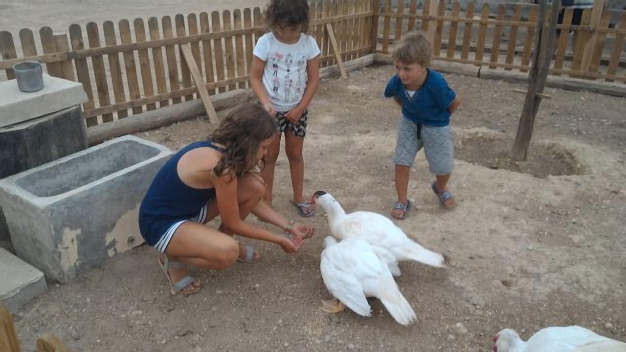 Photo of Outdoor in San Jorge