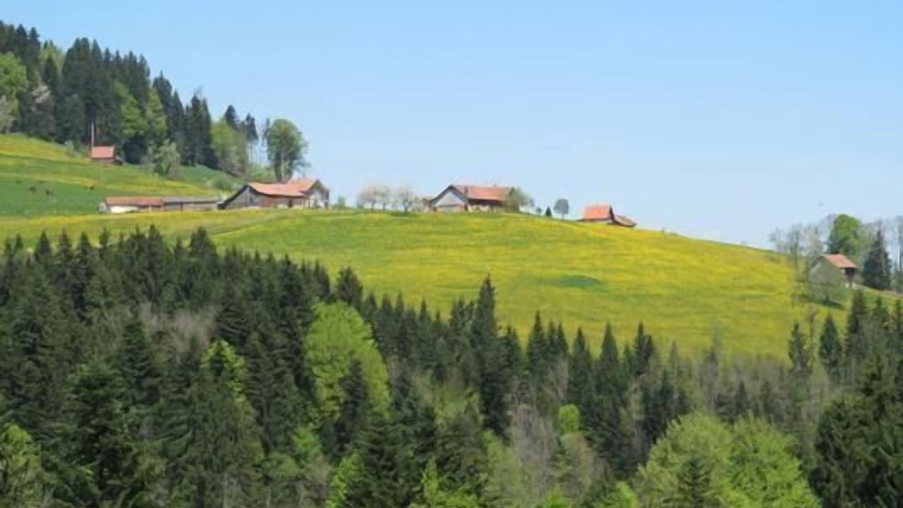 Photo of Others in Haslen