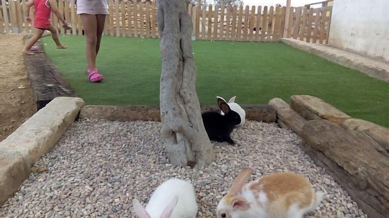 Photo of Outdoor in San Jorge