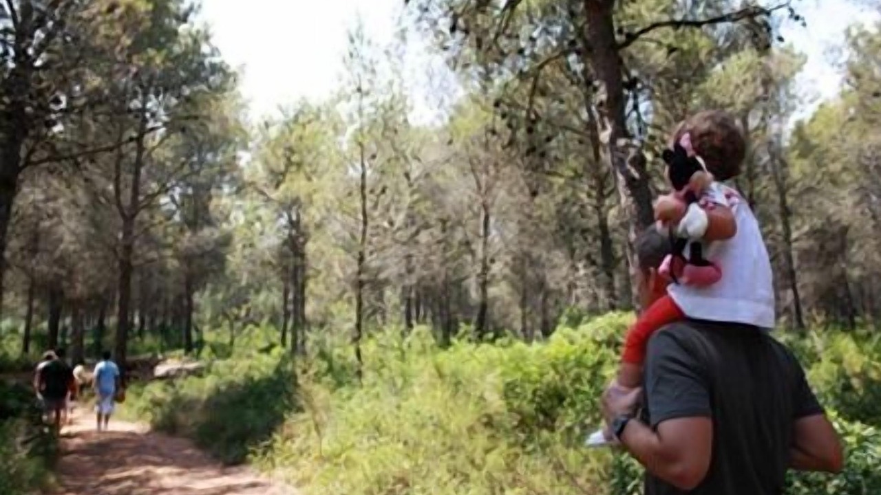 Photo of Outdoor in San Jorge