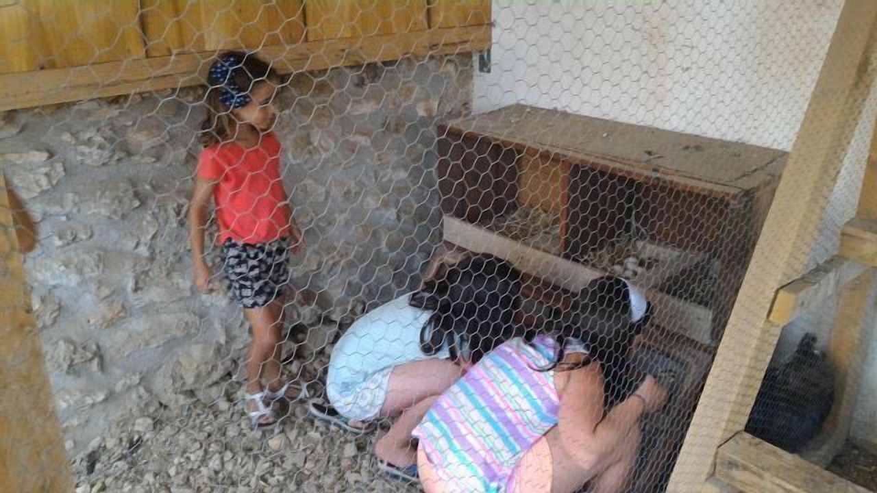 Photo of Others in San Jorge