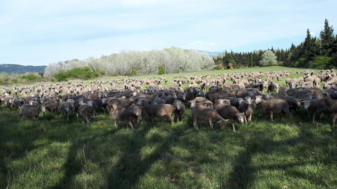 Photo of Outdoor in Loriol-du-Comtat