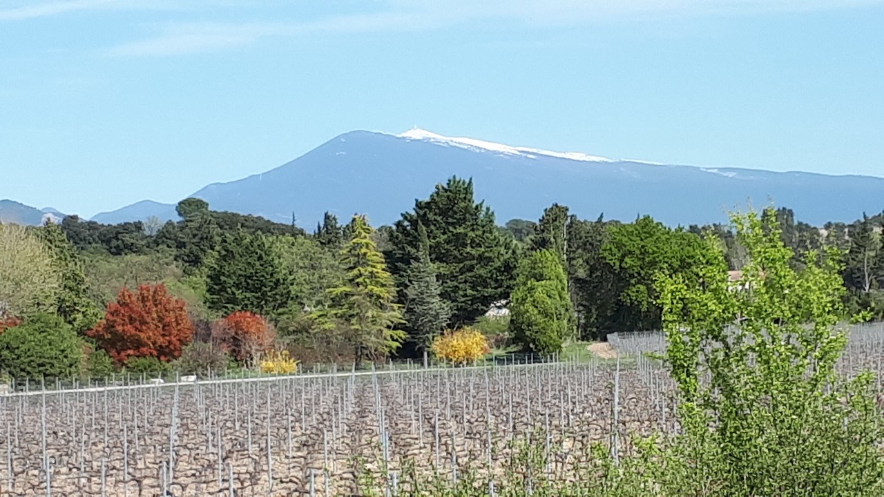 Photo of Outdoor in Loriol-du-Comtat
