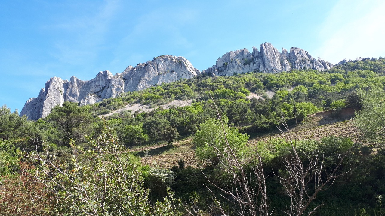 Photo of Outdoor in Loriol-du-Comtat