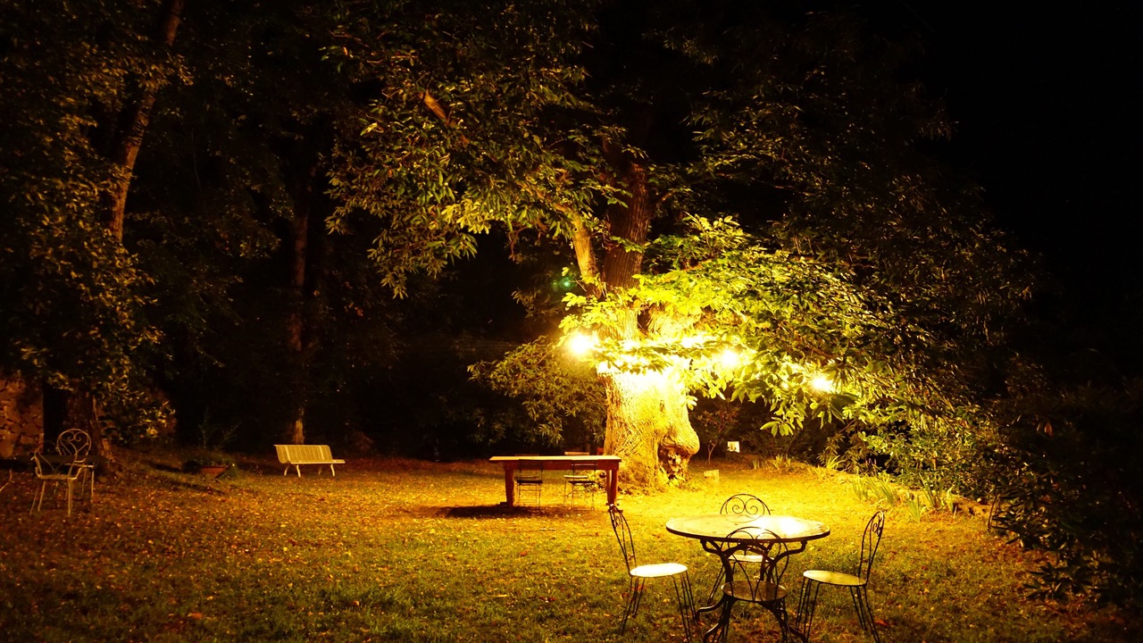 Photo of Outdoor in Ceret