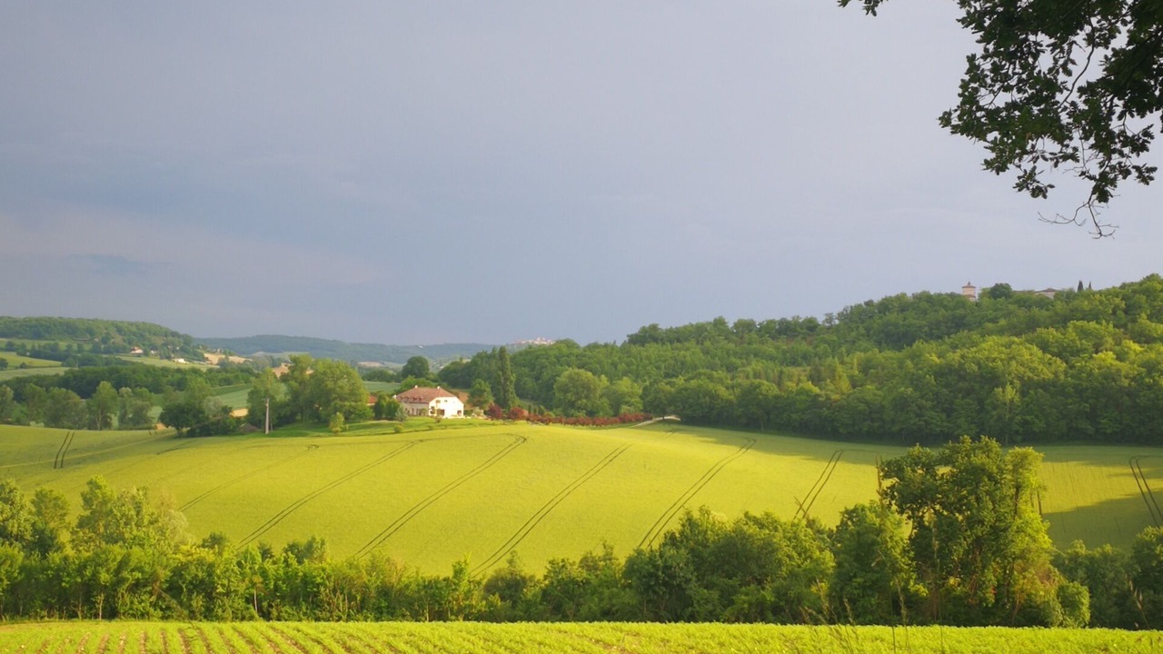 Photo of Outdoor in Bouloc