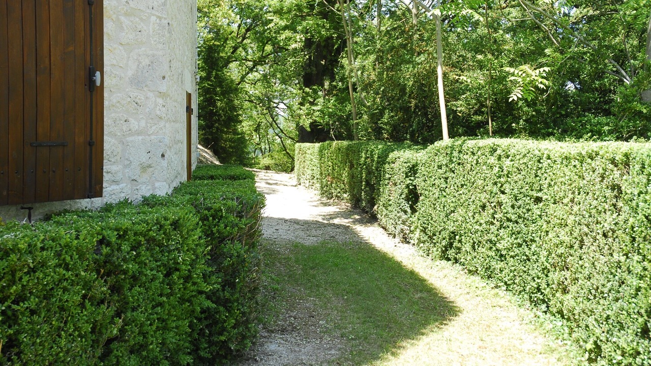 Photo of Outdoor in Bouloc