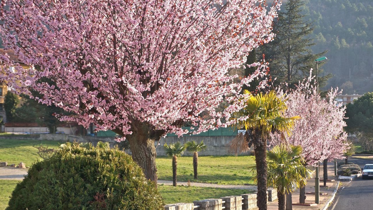 Photo of Outdoor in Vernet-les-Bains