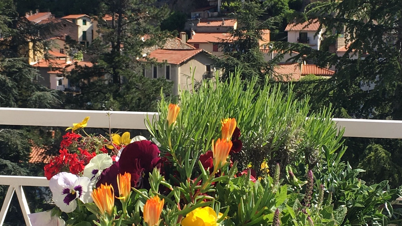 Photo of Outdoor in Vernet-les-Bains